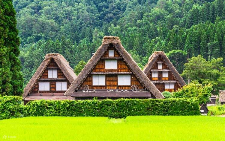 富山 立山・黒部 五箇山・白川郷 '18 カメラ付 地図/旅行ガイド